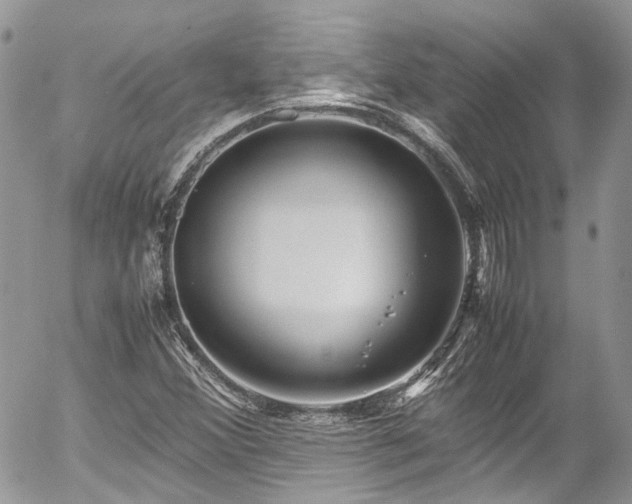 X0000054371356200507291036