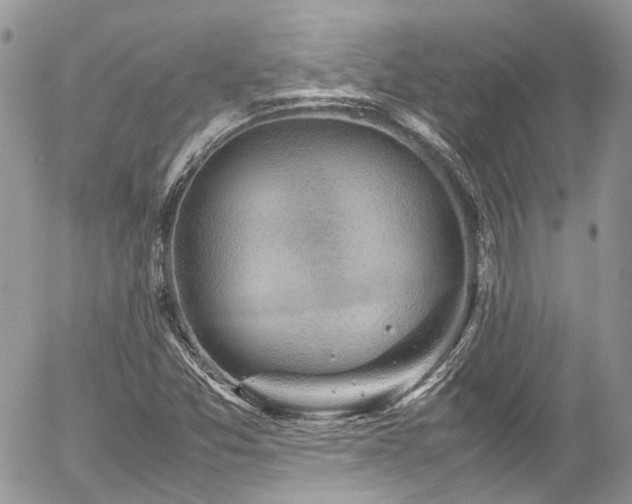 X0000054371357200507291036