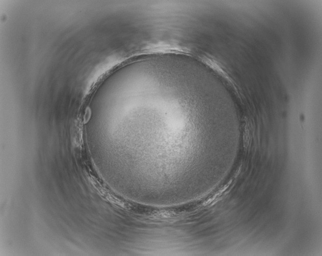 X0000054371358200507291036