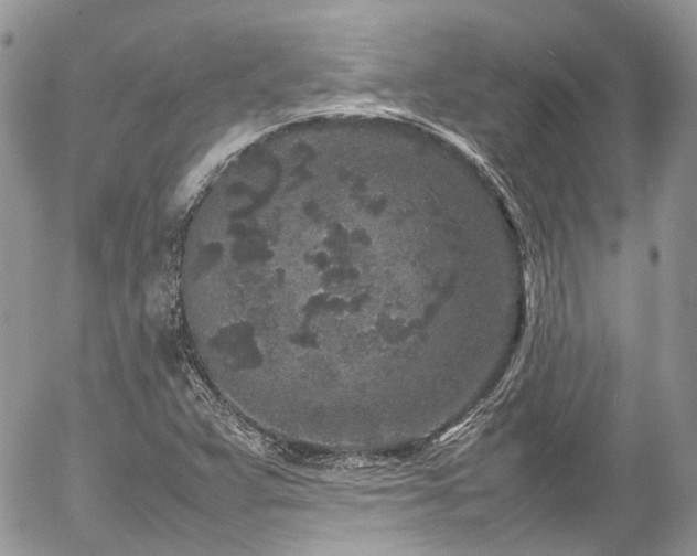 X0000054371359200507291036