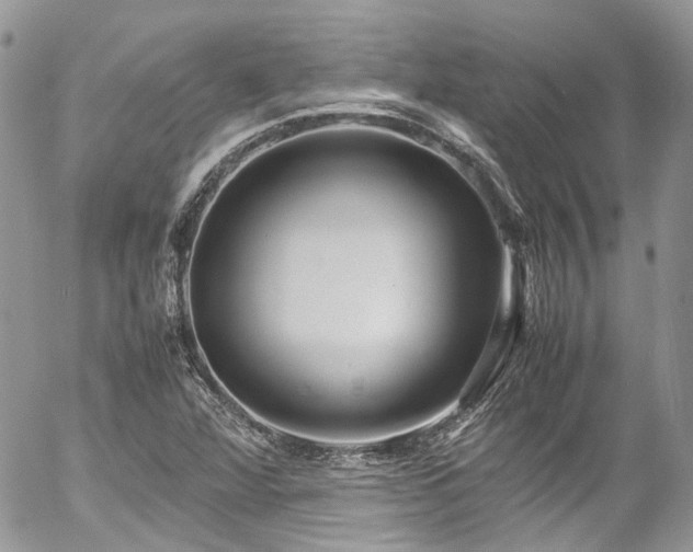 X0000054371360200507291036