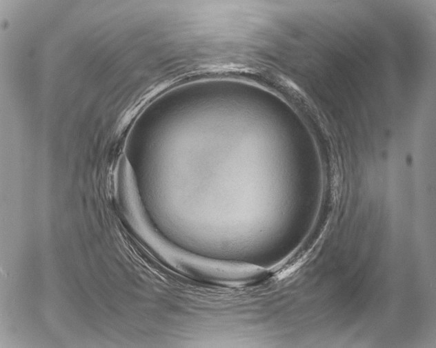 X0000054371361200507291036