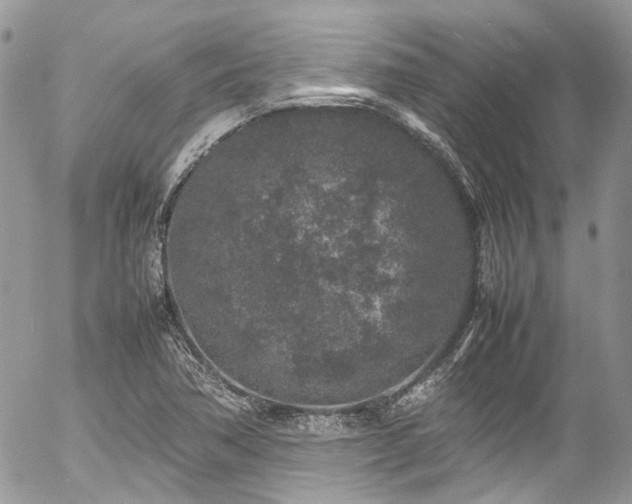 X0000054371362200507291036