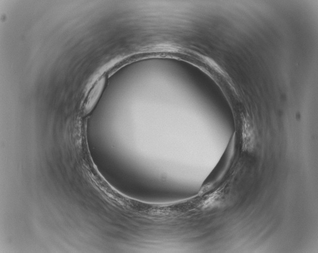 X0000054371364200507291036