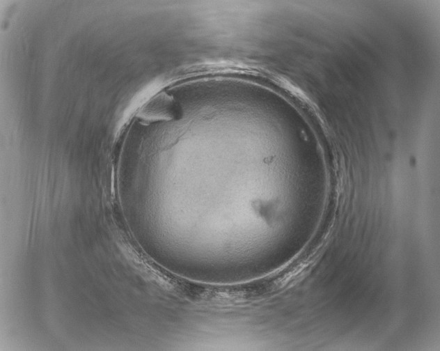 X0000054371365200507291036