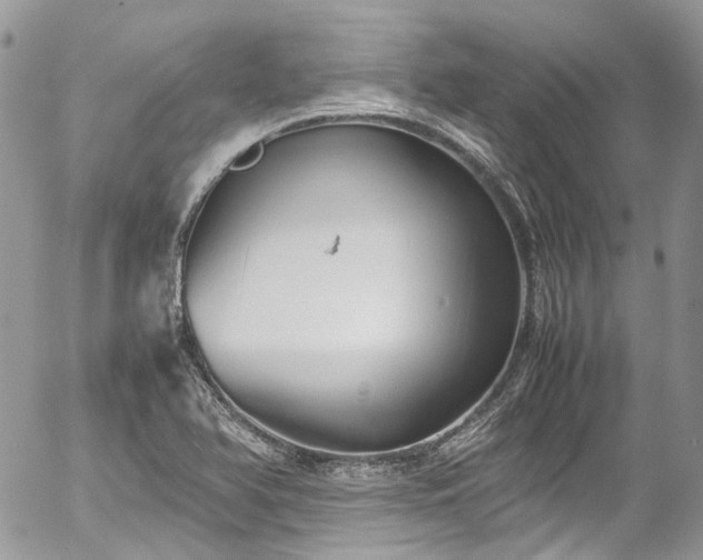 X0000054371366200507291036