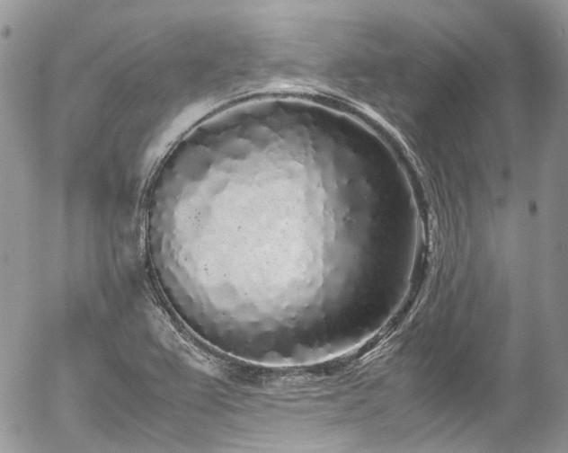 X0000054371367200507291036