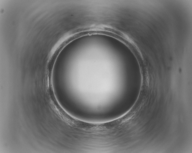 X0000054371368200507291036