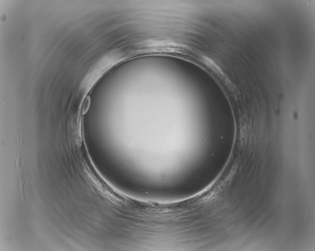 X0000054371370200507291036