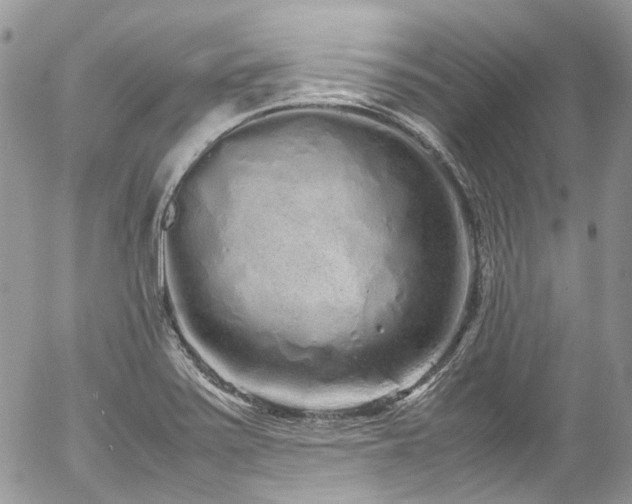 X0000054371371200507291036