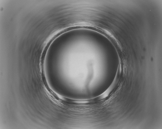 X0000054371372200507291036