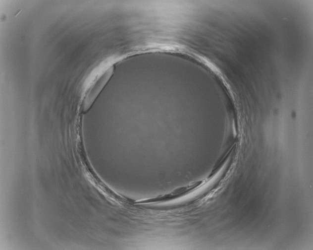 X0000054371373200507291036