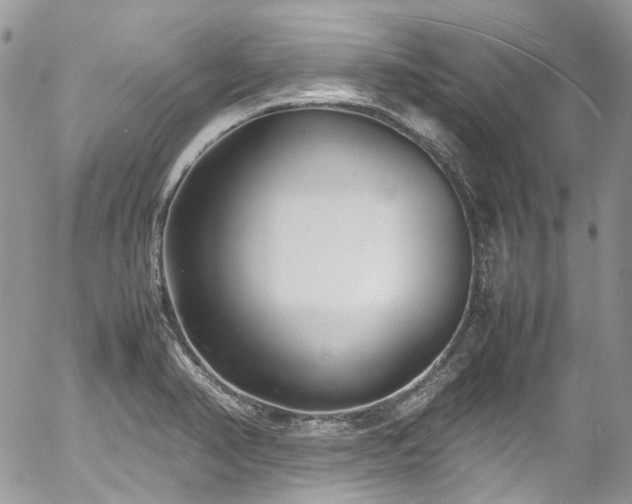 X0000054371374200507291036