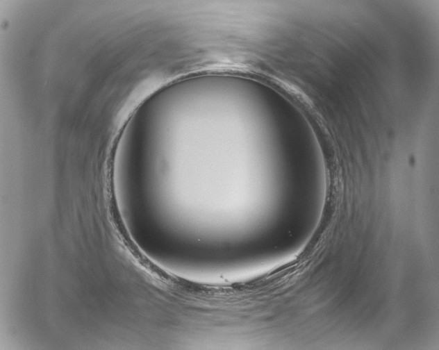 X0000054371375200507291036