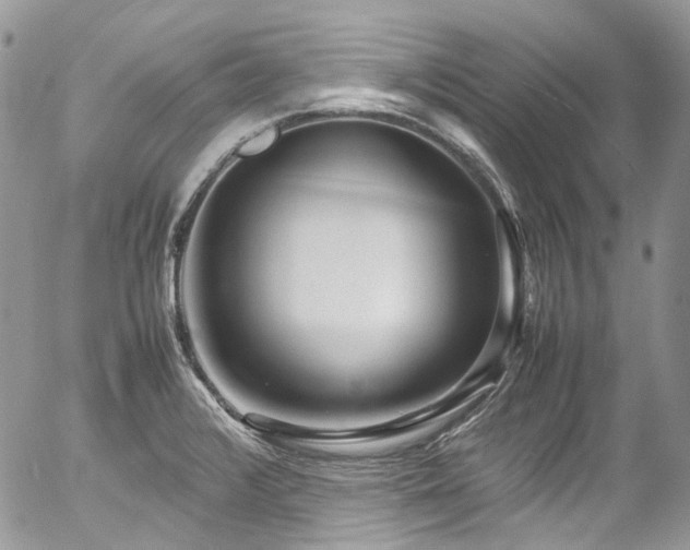 X0000054371376200507291036