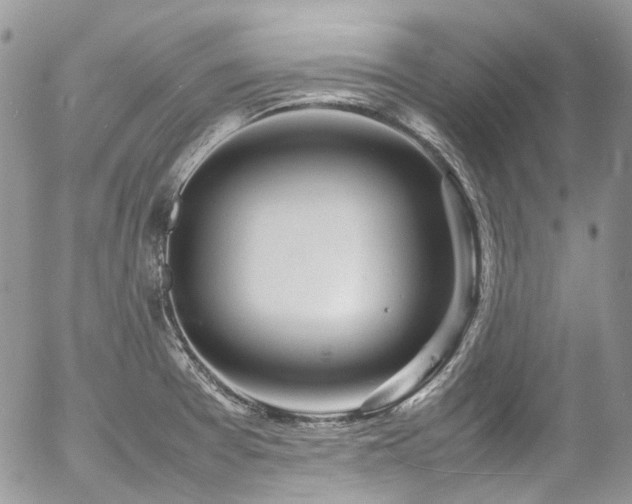 X0000054371377200507291036