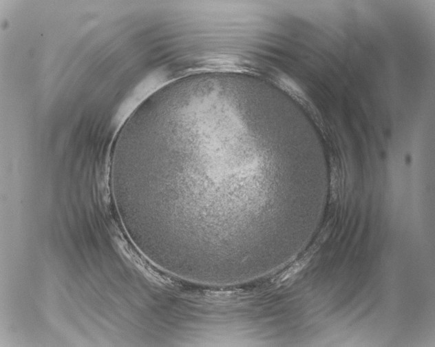 X0000054371378200507291036