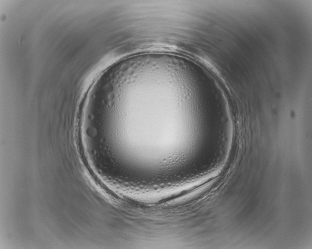 X0000054371379200507291036