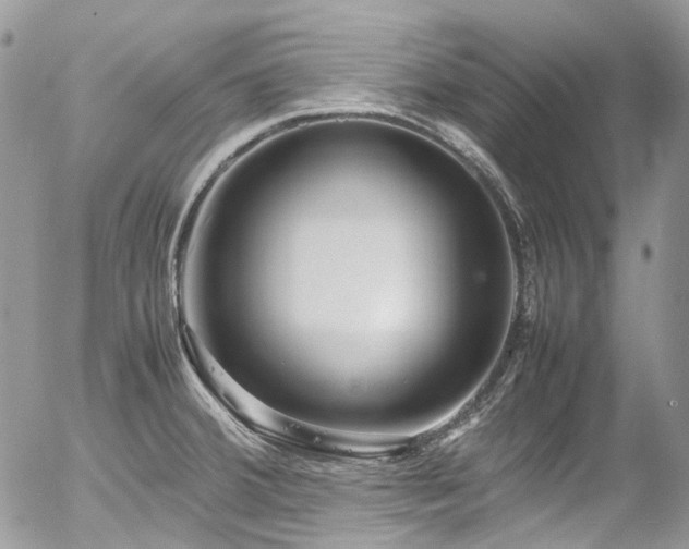 X0000054371380200507291036