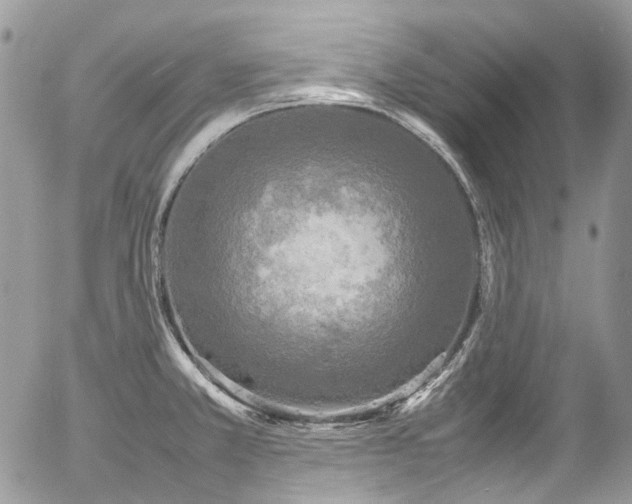 X0000054371381200507291036