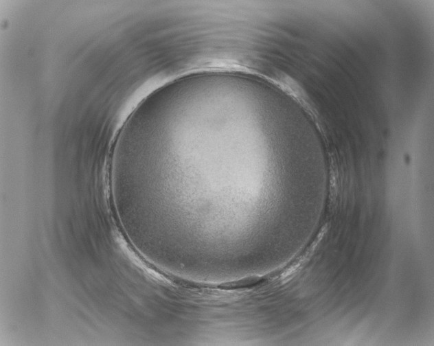 X0000054371382200507291036