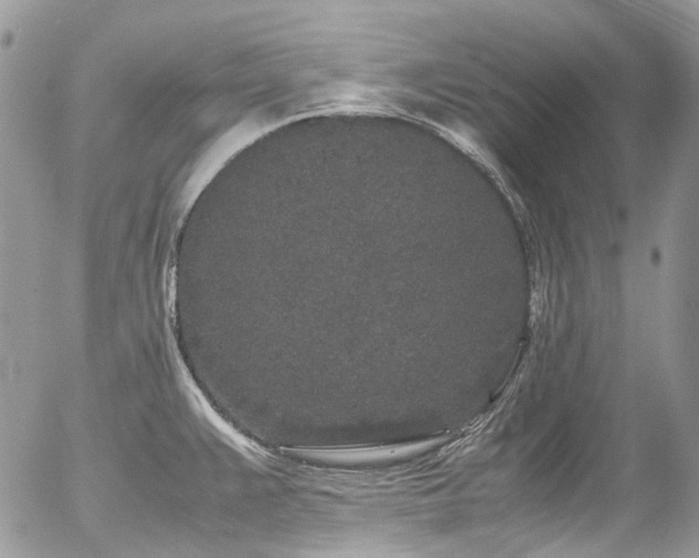 X0000054371383200507291036