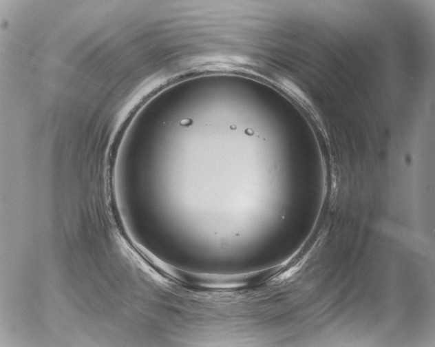 X0000054371384200507291036