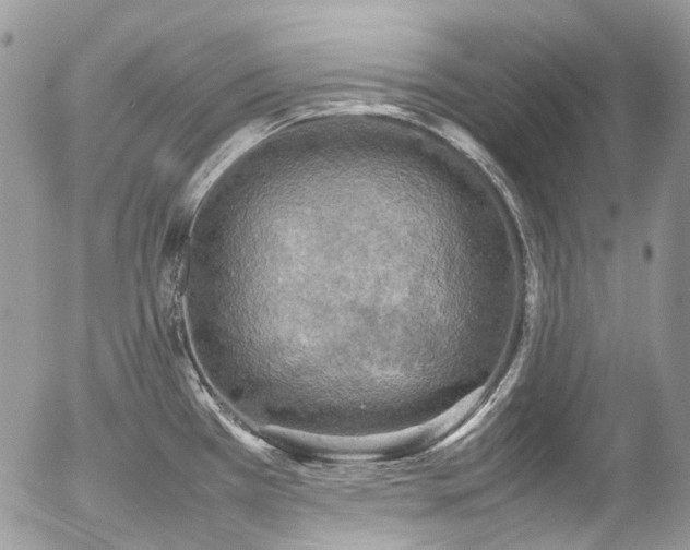 X0000054371385200507291036