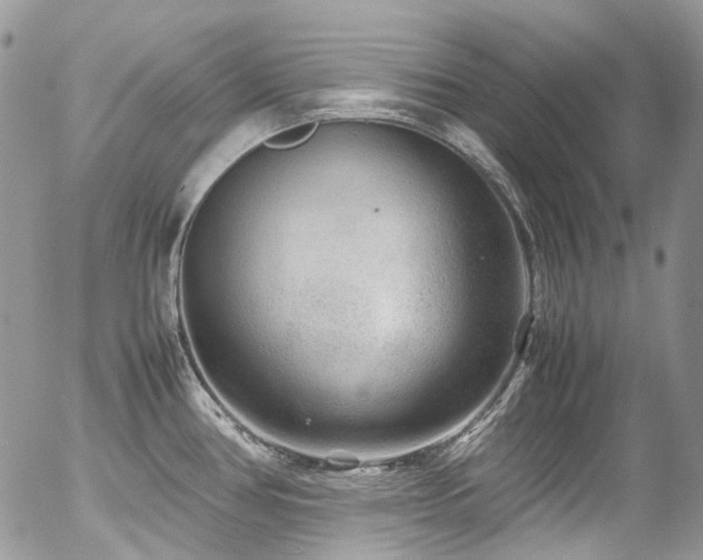 X0000054371386200507291036