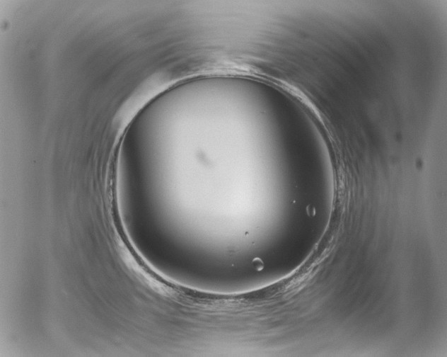 X0000054371387200507291036