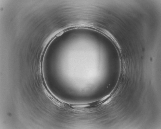 X0000054371388200507291036