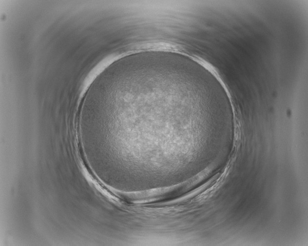 X0000054371389200507291036