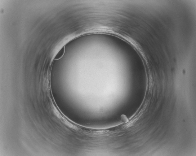 X0000054371390200507291035