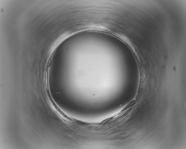 X0000054371391200507291035