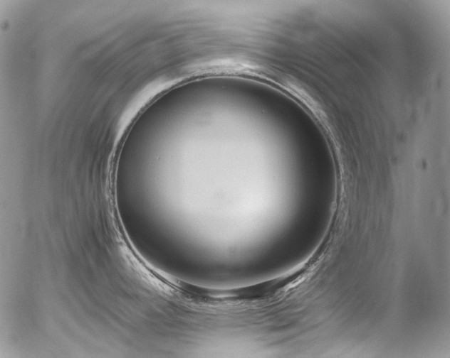 X0000054371392200507291035