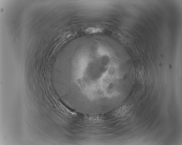 X0000054371393200507291035