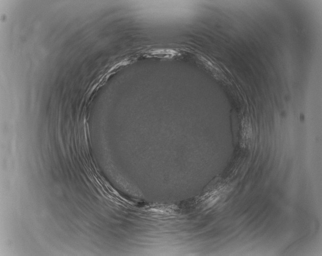 X0000054371394200507291035