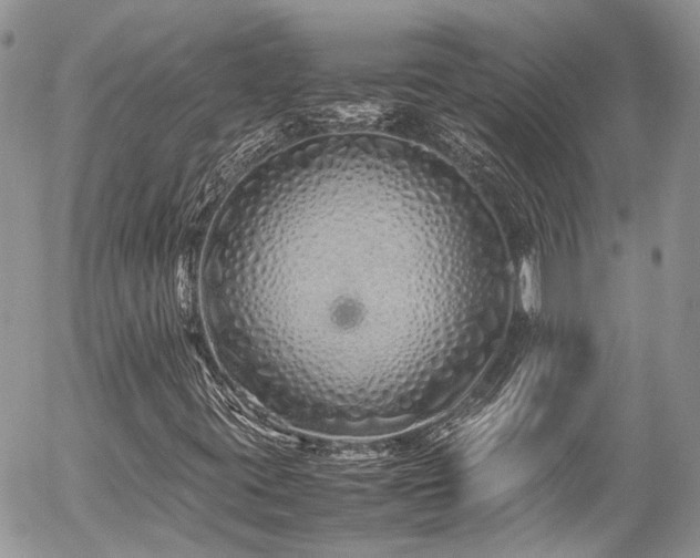 X0000054371395200507291035