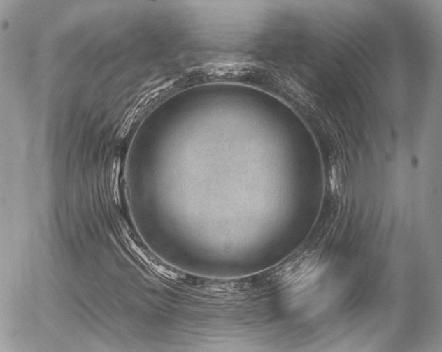 X0000054371396200507291035