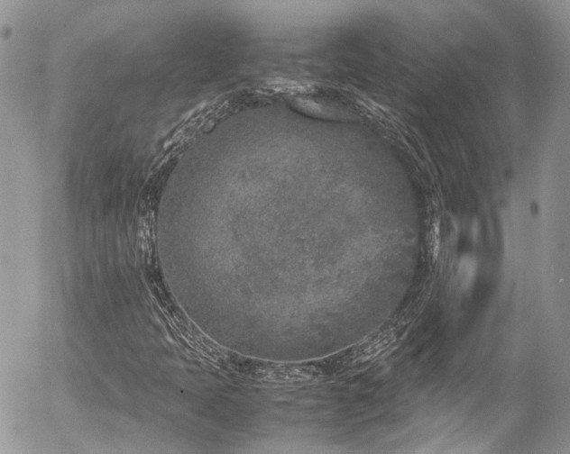 X0000054371397200507291035