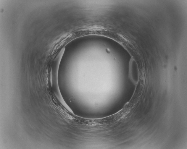 X0000054371398200507291035