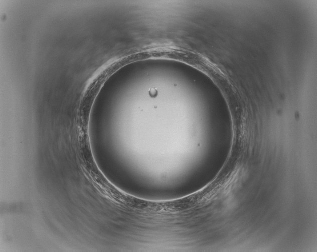 X0000054371400200507291035