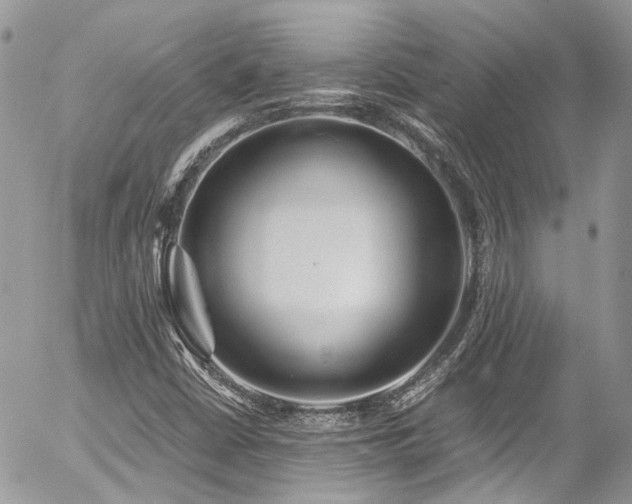 X0000054371402200507291035