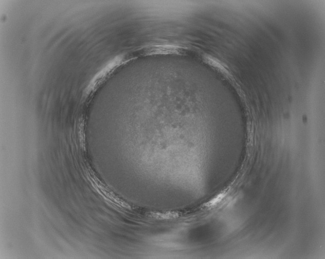 X0000054371403200507291035