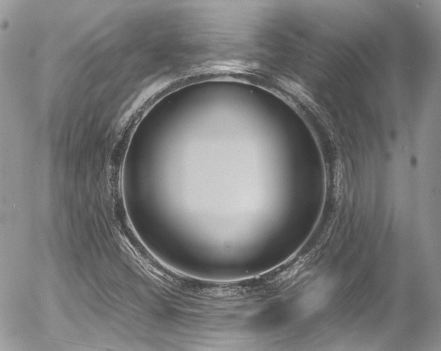 X0000054371404200507291035