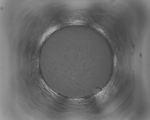 X0000054371405200507291035