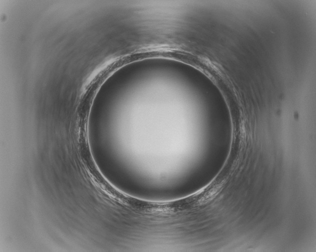 X0000054371406200507291035