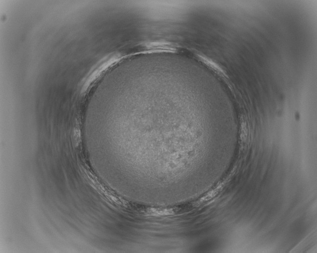 X0000054371407200507291035