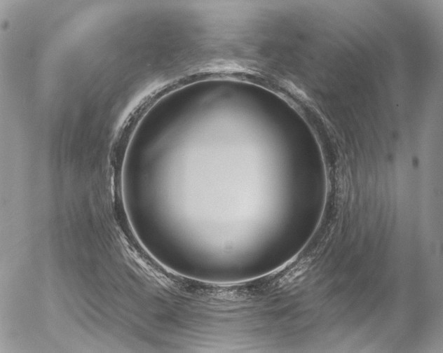 X0000054371408200507291035