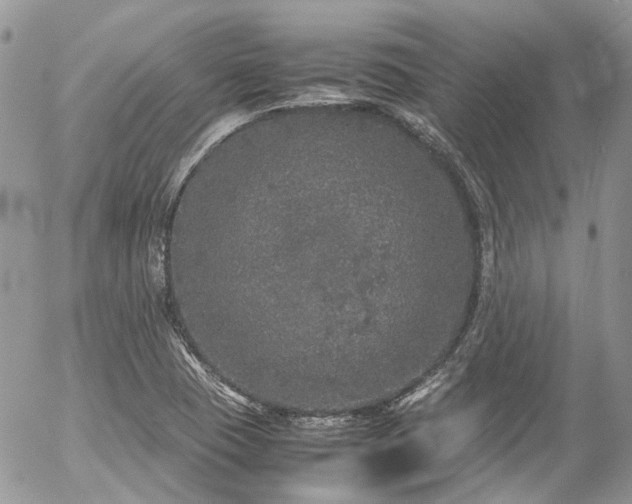 X0000054371409200507291035